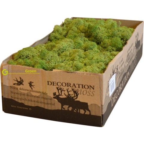 Rendiermos medium groen 2650 gram