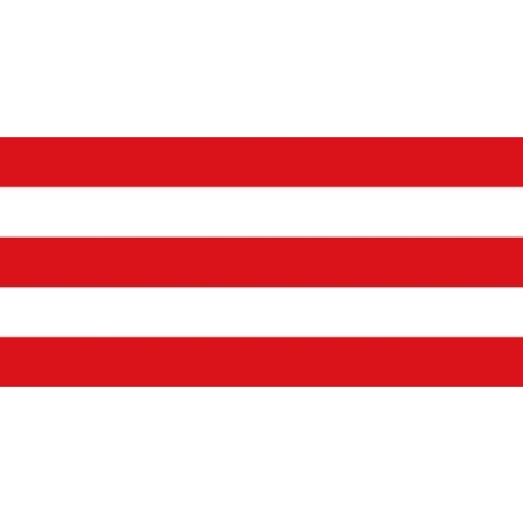 Vlag Lier 120x180cm
