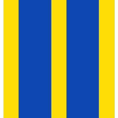 Vlag Twisk 150x225cm