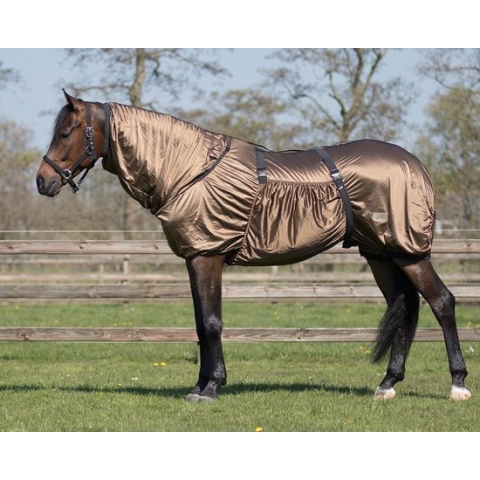 Qhp Eczeemdeken Brown - 145 - Vliegendeken | Staldekens paard