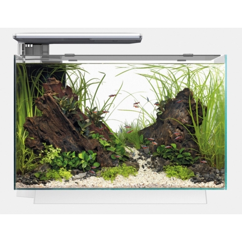 SuperFish Quadro 70 pro Wit