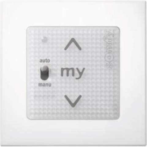 Somfy Smoove 1 A/M IO