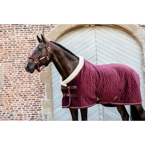 Kentucky Show Rug Velvet - Bordeaux - Maat 145/195/6.6