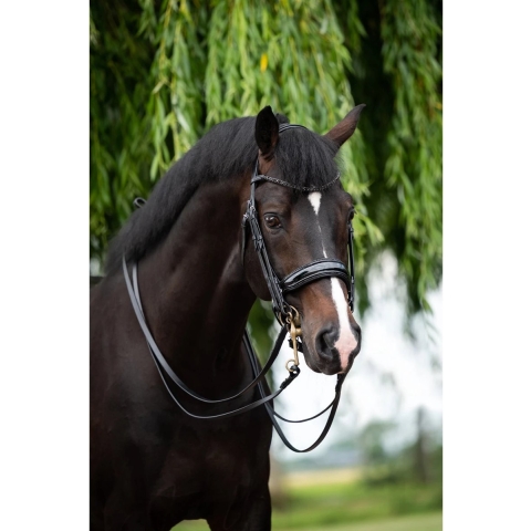 Hb Stang En Trens Showtime Special For You Black-black - paard
