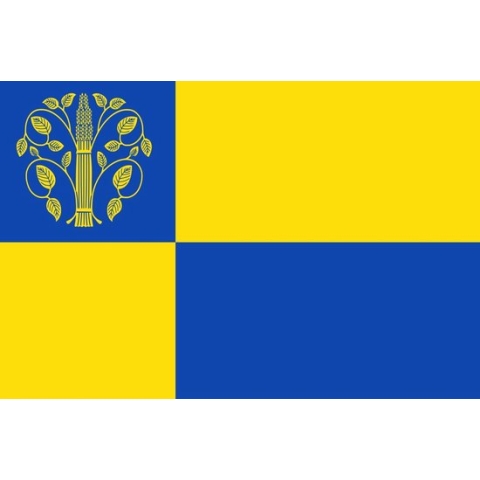 Vlag Westerwolde 150x225cm