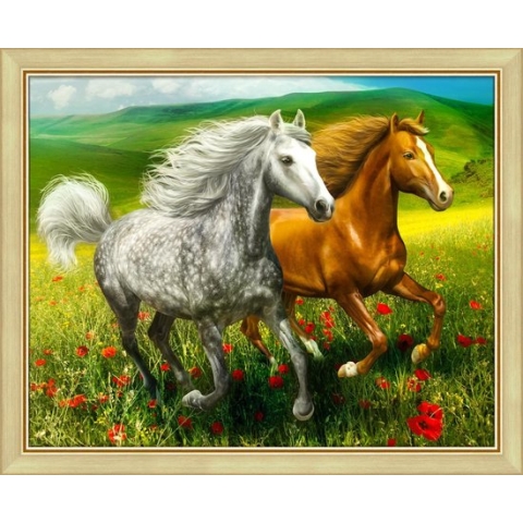 Paarden op de weide 50cm x 40cm