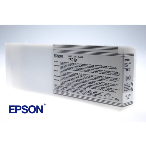 Epson T591900 - Inktcartridge / Foto Licht Zwart