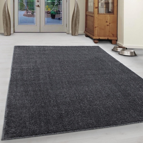 Basics Effen Vloerkleed - Laagpolig Tapijt - Grijs - 160x230CM