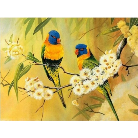 Diamond Painting 2 vogels 50 x 50 vierkante steentjes