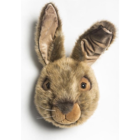 Wild & Soft - Trophy haas bruin Lewis - Dierenkop