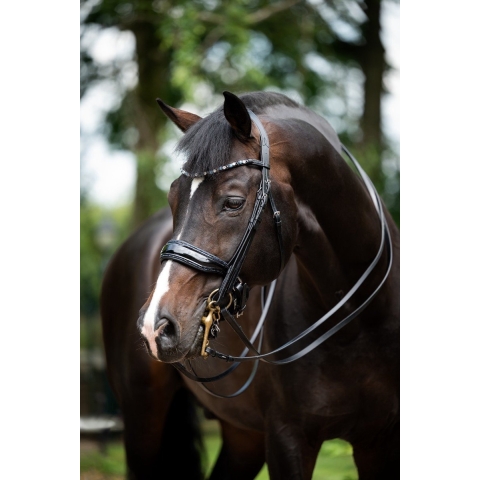 Hb Stang En Trens Showtime Special For You Black-blue - paard