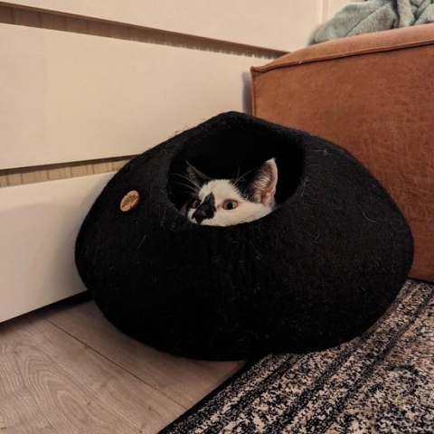 Cat cave kattenmand zwart - SnoozyCave