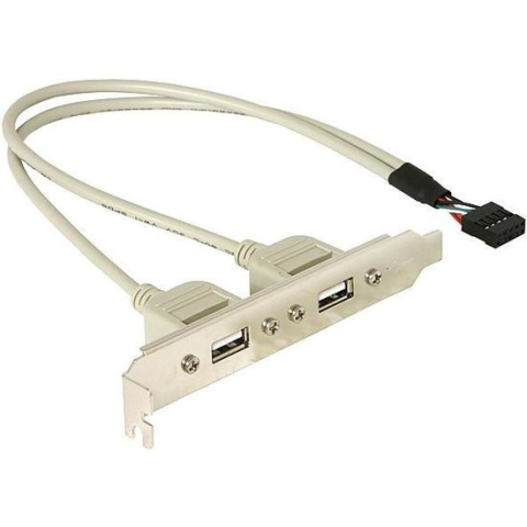 Delock -  naar USB 2.0 A Female - 0.3 m