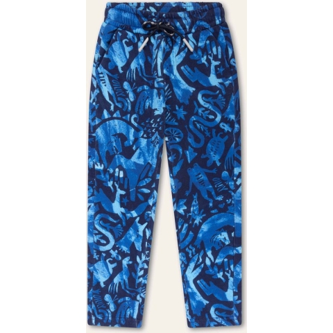 Pike pants 55 AOP Archeoilily Blue: 122/7yr