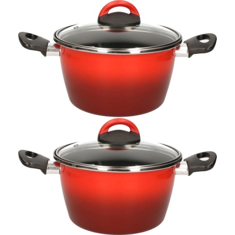 Set van 2x stuks rvs rode kookpan/pannen Cuenca met glazen deksel 20 cm 6 liter