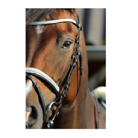 Hoofdstel Jamie maat pony