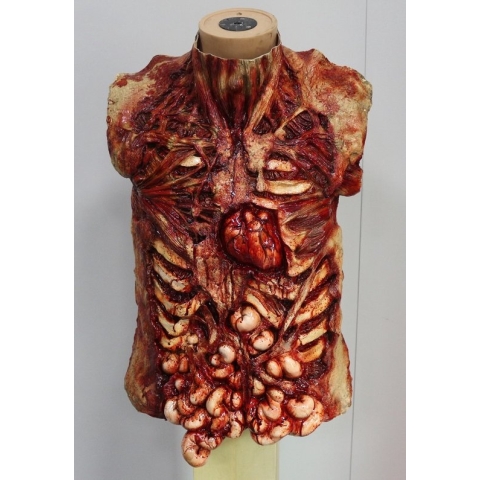 Horror torso (voorkant) Halloween prop