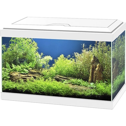 Ciano Aqua 20 Aquarium - 40x 20x31 cm - 17L - Wit