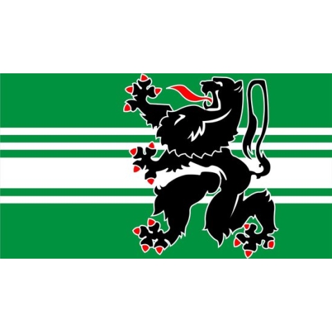 Vlag Oost-Vlaanderen 200x300cm