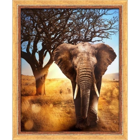 Diamond Painting African Elephant AZ-1783