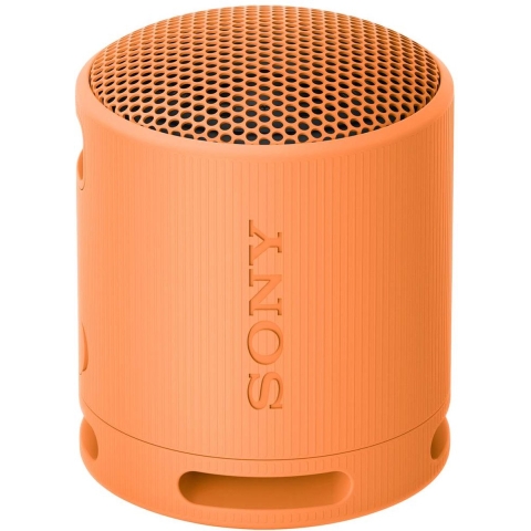 Sony Extra Bass Speaker SRSXB100D | Speakers | Beeld&Geluid - Audio | 4548736146150