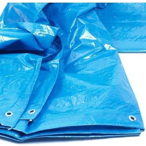 Dekzeil 6 x 10 m (90 gram m2)