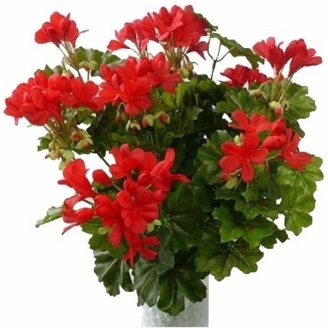 3 stuks kunst Oostenrijkse geraniums planten rood 40 cm -