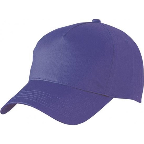10x stuks 5-panel baseball petjes /caps in de kleur paars -