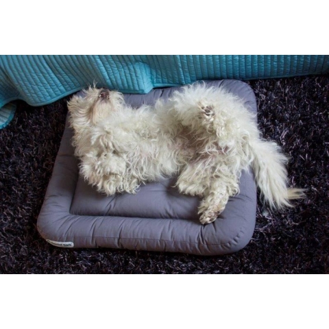 Doctor Bark Dog Cushion - S - Grijs