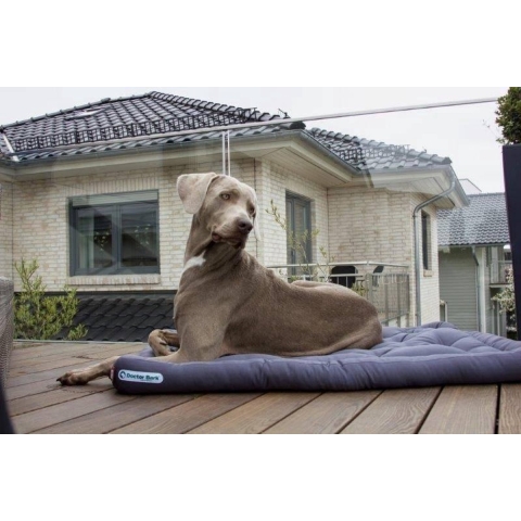 Doctor Bark Dog Cushion - L - Grijs