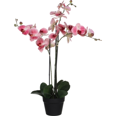Mica Decorations Orchidee bloem kunstplant - roze - H75 x B50 cm -