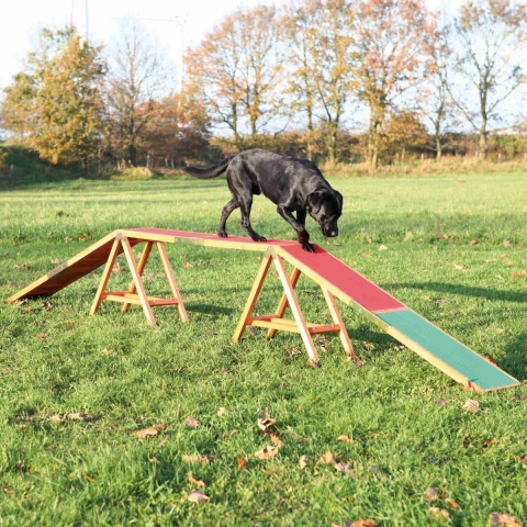 Trixie Loopplank Dog Activity Agility L456 x B30 x H64 cm