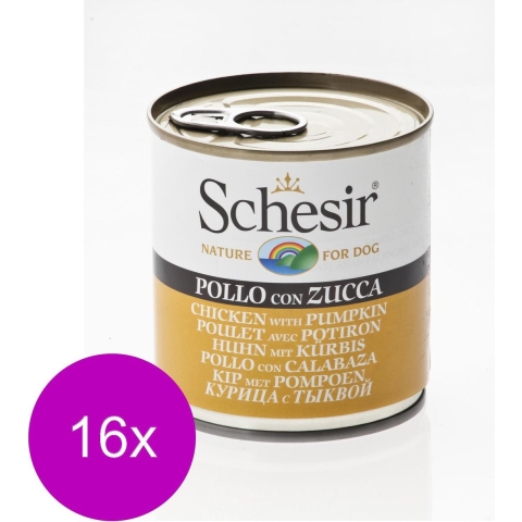 16x Schesir Hondenvoer Kip Pompoen in Gelei 285 gr