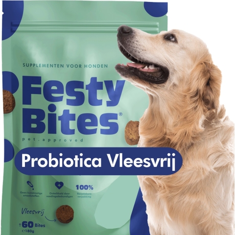 FestyBites Probiotica Vleesvrij supplement hond 2 x 180 g