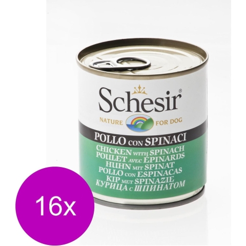 16x Schesir Hondenvoer Kip Spinazie in Gelei 285 gr