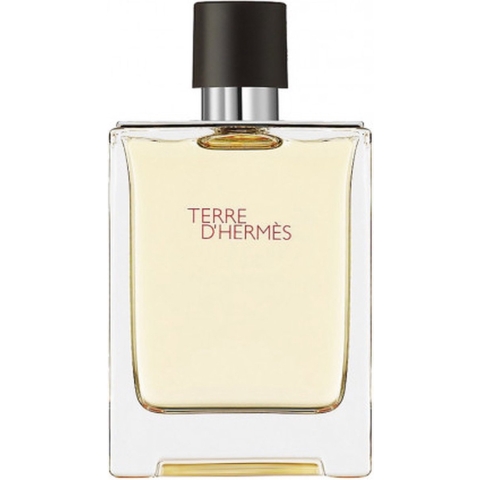 Hermès Terre d'Hermes Eau De Toilette 100ml