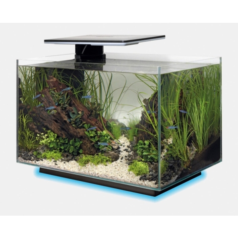 Superfish quadro 40 multi colour zwart - SuperFish
