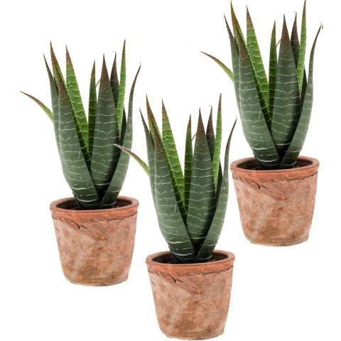 Set van 3x stuks Aloe Vera kunstplanten in terracotta pot 23 cm -