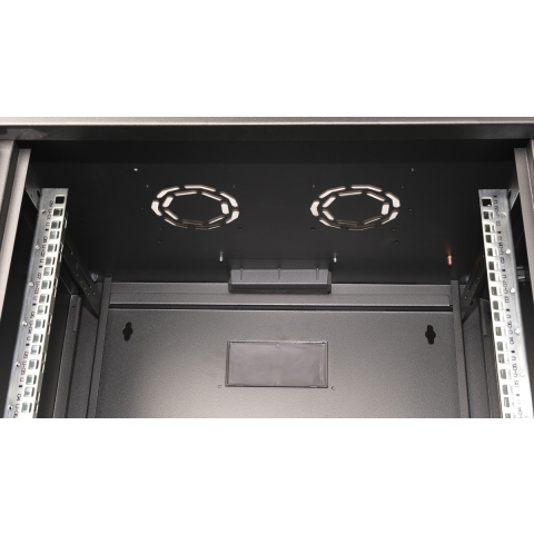 ROLINE 19-inch wandbehuizing Pro 9 U, 450x600 BxD zwart