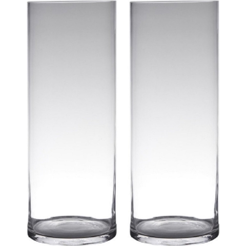 Set van 2x stuks transparante home-basics cylinder vorm vaas/vazen van glas 50 x 19 cm -