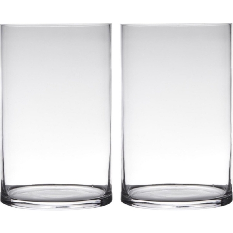 Set van 2x stuks transparante home-basics cylinder vorm vaas/vazen van glas 40 x 19 cm -