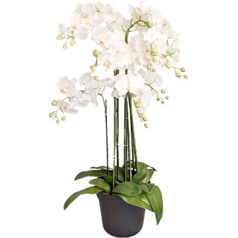Orchidee kunstplant 9-tak 110 cm, wit - Buitengewoon de Boet