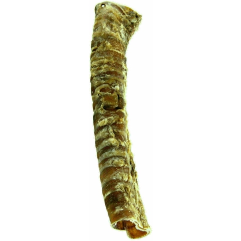 Petsnack Petsnack luchtpijp