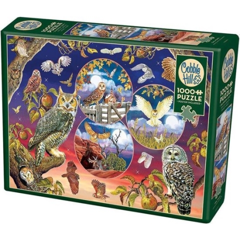 Owl Magic- Cobble Hill