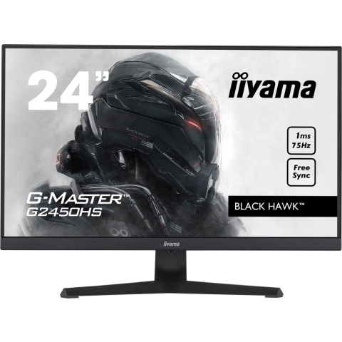 Iiyama G-Master G2450HS-B1 monitor