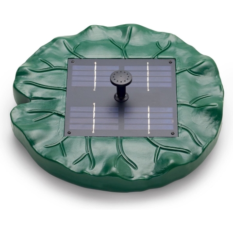 P. solar lily island - Oase