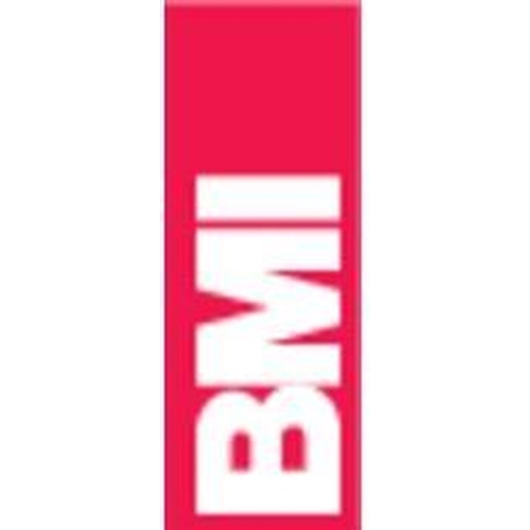BMI Waterpas | 100 cm | aluminium zilver | ± 0,5 mm/m | 1 stuk - 694100 E 694100 E