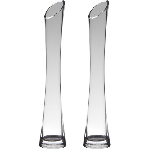 Set van 2x stuks transparante flutes vaas/vazen van glas 24 x 7 cm -