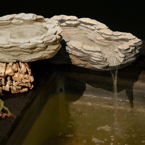Waterval set - Velda