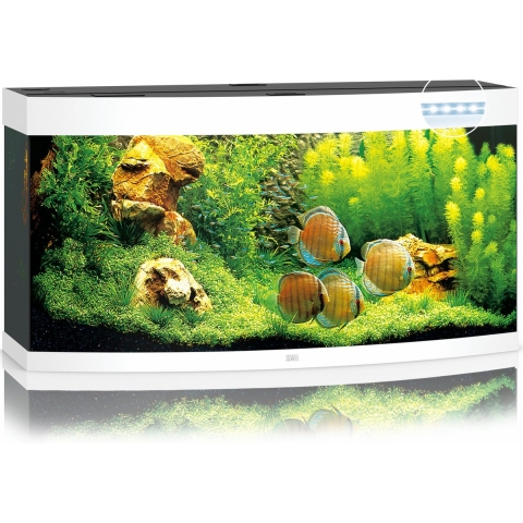 Juwel aquarium Vision 260 LED met filter wit - Gebr de boon
